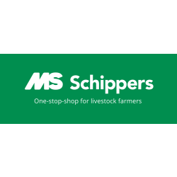 MS SCHIPPERS